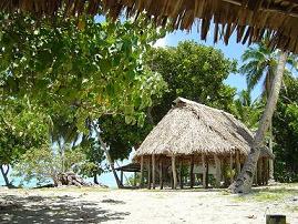 A l'îlot, il y a un fale ("falé") !